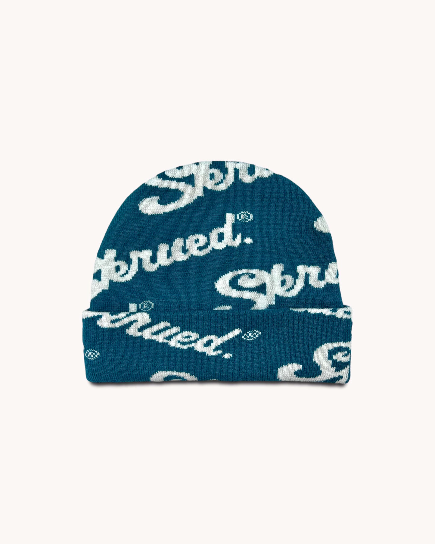 Chunky Logo Rib Knit Beanies