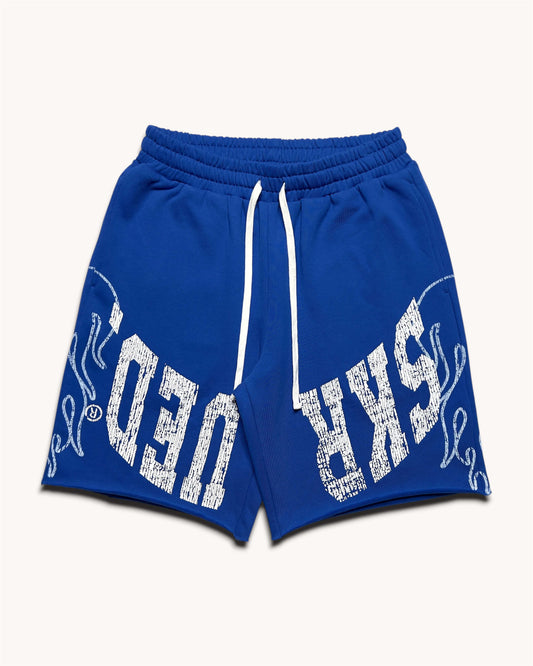 Hell & Back Raw Hem Shorts - Blue