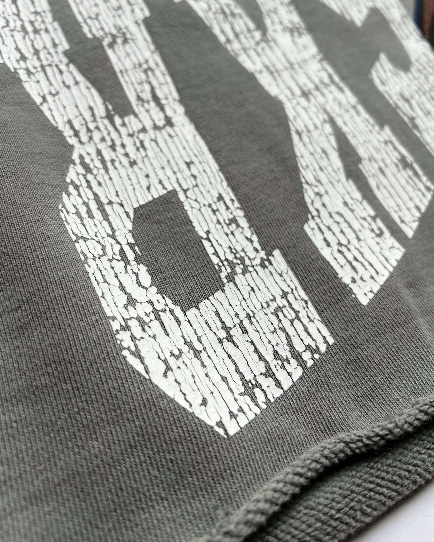 Hell & Back Raw Hem Shorts